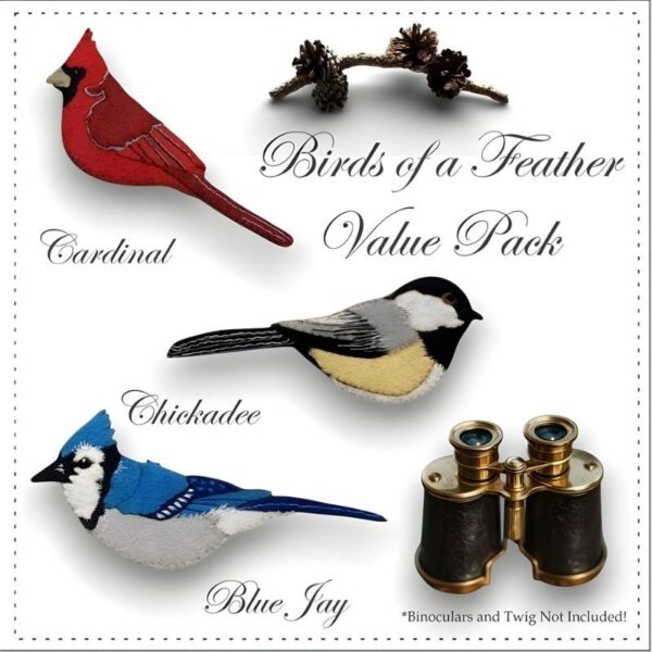 Cardinal blue jay chickadee hand embroidery stitch kit
