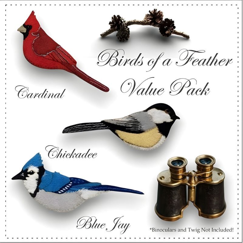 Cardinal blue jay chickadee hand embroidery stitch kit