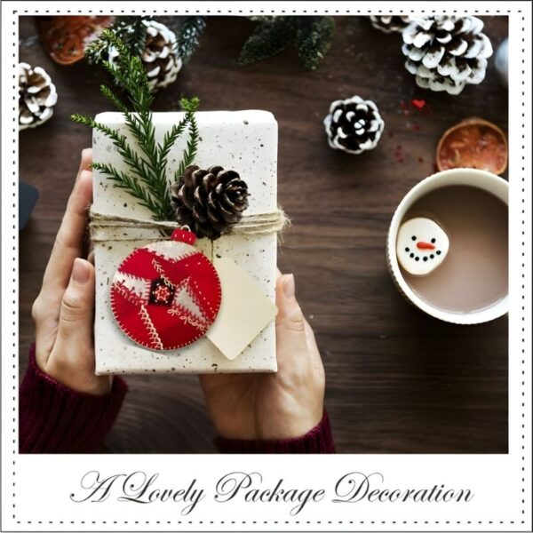 Red Christmas Ornament used as a package decoration